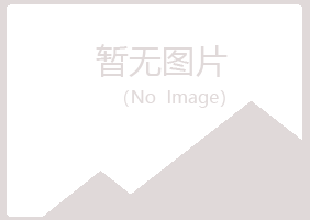 宜君县山柏工程有限公司